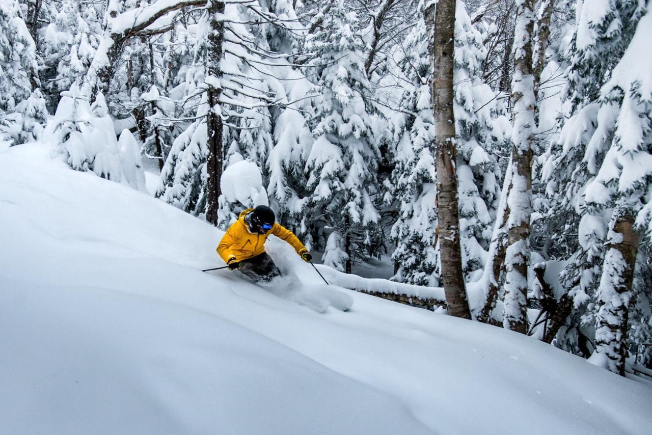 Вілла Mountain Retreat Вілмінгтон Екстер'єр фото